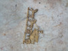 Antiguo Herraje De Bronce Carreta 1