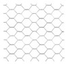 Tejido Gallinero Hexagonal Malla 1/2'' (13mm) 0,80mt X 25mts 3