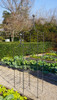 Tutor Decorativo Para Planta Alfil Negro. Tutor Para Jardín 1