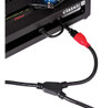 D Addario Accesorios 1