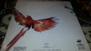 Mecano Descanso Dominical Lp Vinilo Insert Original Spain 88 7