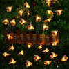 Dinowin Luces De Abejas De Miel, Cadena De Luces De Abeja De 1