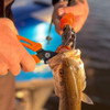 Tenazas De Pesca Kastking, 15 Cm De Longitud, Naranja 5