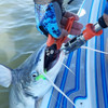 Tenazas De Pesca Kastking, 15 Cm De Longitud, Naranja 6
