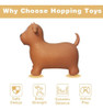 Hotmax Hinchable Caballo, Inflable Rebotando Animales Tolva 1