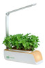 Maceta Hidroponía Planta Sustratos Cultivo Kits Greenbox 0