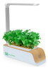 Maceta Hidroponía Planta Sustratos Cultivo Kits Greenbox 0