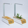 Maceta Hidroponía Planta Sustratos Cultivo Kits Greenbox 1