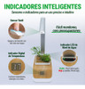 Maceta Hidroponía Planta Sustratos Cultivo Kits Greenbox 3