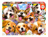 Rompecabezas Selfie De Perritos 1000 Piezas Educa 0