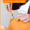 Kit Profesional Tallar Calabaza 4