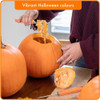 Kit Profesional Tallar Calabaza 5