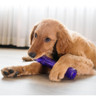Kong Juguete Para Perros Premium Squeezz Stick Large 4