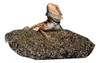 Piedra Calefactora Reptiles Caliente Termica Roca Chica 0