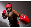 Rhafayre Casco De Boxeo, Equipo De Cabeza 1 Rhafayre Casco De Boxeo, Equipo De Cabeza 1