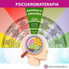 Óleo Essencial De Patchouli 5ml - Phytotérapica (puro) 3 Óleo Essencial De Patchouli 5ml - Phytotérapica (puro) 3