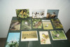 Lote 12 Postales Pájaros 0
