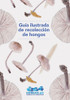 Guía Ilustrada De Recolección De Hongos 0