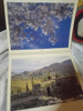 Almanaque Firestone De 2001 Usado 2