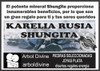 Shungita Karelia Shungit Original Pulsera Protección 1