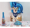 Suministros Para Fiesta De Cumpleaños De Perro Jpb, Sombrer 2 Suministros Para Fiesta De Cumpleaños De Perro Jpb, Sombrer 2