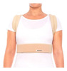 Espaldera Corrector Postural Acolchada Universal Ajustable 1