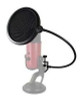 Pop Filter Para Estudio Studio Microfone 3