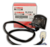 Luz Matricula Placa Original Yamaha Nmax 0