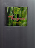 Cd Musical Green Paradise, Tupac, Ddd, 2000 0