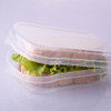 Kit Com 10 Potes Guarda Lanche P/ Viagem Escola Sanduicheira 7