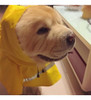 Ocsoso Perro Mascota Impermeable Impermeable Equipo Brite Ch 3