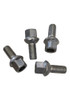 Tornillo De Rueda  Faw Oley 1