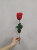 300 Rosas Artificiais Botão - Artificial Botões Vermelho 2