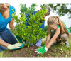 Set Jardinería Pala Rastrillo Plantas Jardín Fumigador Hojas 5 Set Jardinería Pala Rastrillo Plantas Jardín Fumigador Hojas 5