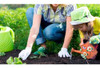 Set Jardinería Pala Rastrillo Plantas Jardín Fumigador Hojas 6 Set Jardinería Pala Rastrillo Plantas Jardín Fumigador Hojas 6
