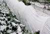 Tela Manta Termica Antihelada Protege Planta Invernader 30x2 4