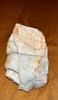 Piedra De Ágata Fosilizada. Excelente Pieza 4