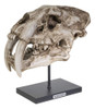 Summit Collection Polystone Resin Dientes De Sable Tiger Sku 0