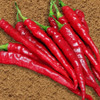 20 Sementes Pimenta Cayenne Long Slim Capsicum Chili Pepper 1 20 Sementes Pimenta Cayenne Long Slim Capsicum Chili Pepper 1