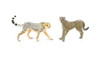 Playsets animal world cheetah Pack x 2 Figuras 1
