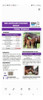 Alimento Balanceado Potrillos Caballos Equimix Excelente 2