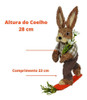 Decoração Coelho De Páscoa Fibra De Sisal Surfista 2