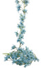 Guía De Flores Silvestres 1