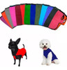 Kit 3x2 Buzo Liso Polar Ropa Mascotas Talles Medianos 3
