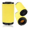 Filtro Aire + Pre Compatible Briggs Stratton 793569 2