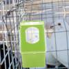 Gerenciador De Caixas De Alimentação Para Pombos Birdcage 2