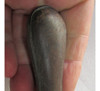 Antiguo Asentador De Cuero Para Navaja Barberia, Usado 2