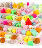 Squishys Surtidos Cajas De 24 2