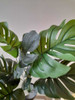 Planta Artificial Costilla De Adam 45 Cms Con Maceta Deco 2 Planta Artificial Costilla De Adam 45 Cms Con Maceta Deco 2