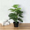 Planta Artificial Costilla De Adam 45 Cms Con Maceta Deco 6 Planta Artificial Costilla De Adam 45 Cms Con Maceta Deco 6